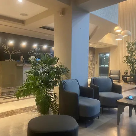 Queen's - Zebra Centre 4* Skopje