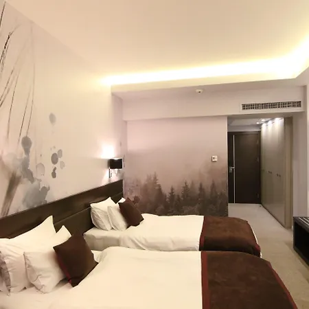 Queen's - Zebra Centre Skopje