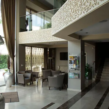 Queen's - Zebra Centre Skopje