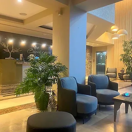 Queen's - Zebra Centre Hotel 4*