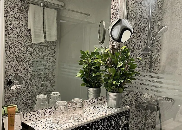 Queen's - Zebra Centre Hotel 4*