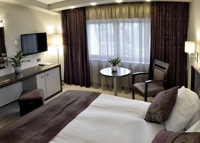 Queen's - Zebra Centre Skopje